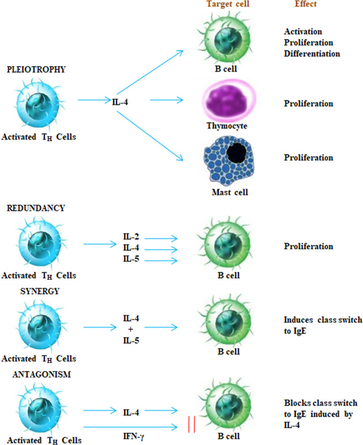 Fig. 4: