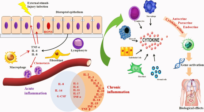 Image, graphical abstract