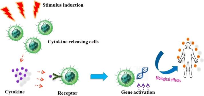 Fig. 2: