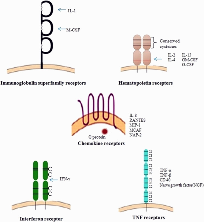 Fig. 6: