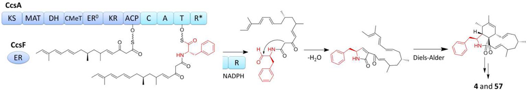 Figure 10