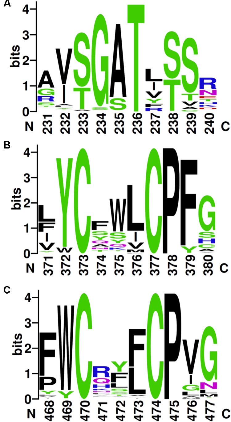 FIGURE 3