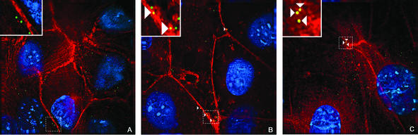 FIG. 6.