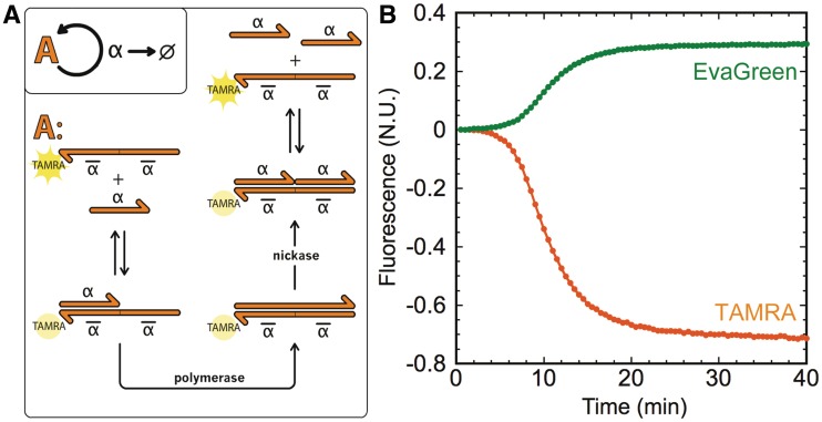 Figure 4.