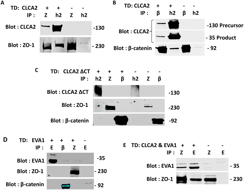 Fig 11