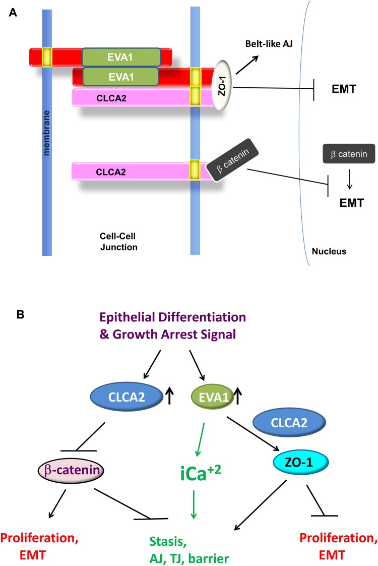 Fig 13