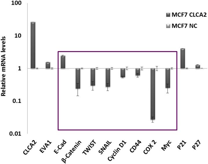 Fig 12