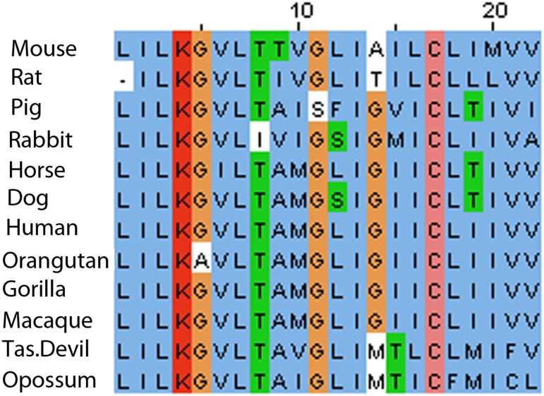 Fig 4