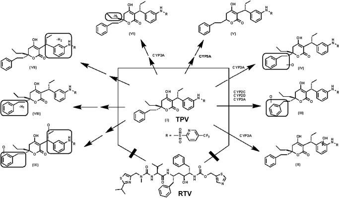 Fig. 6.