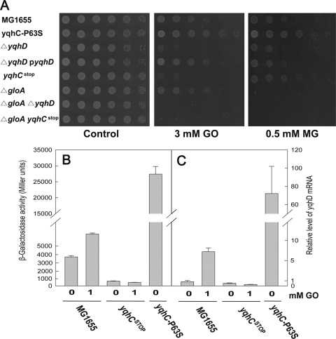 FIG. 4.