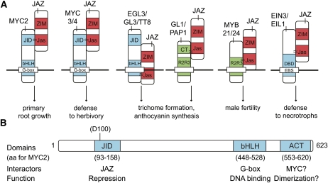 Figure 2.