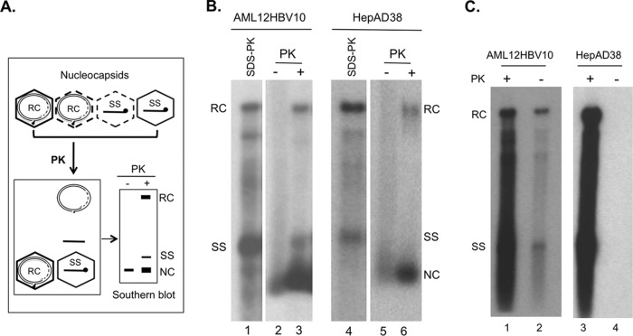 FIG 4