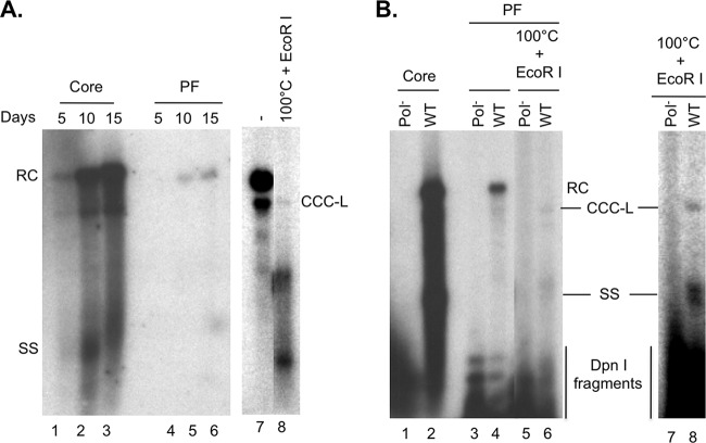 FIG 2