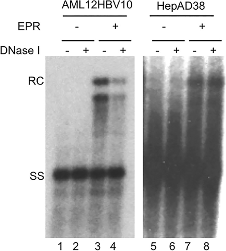 FIG 6