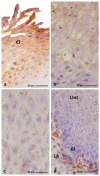 Figure 18