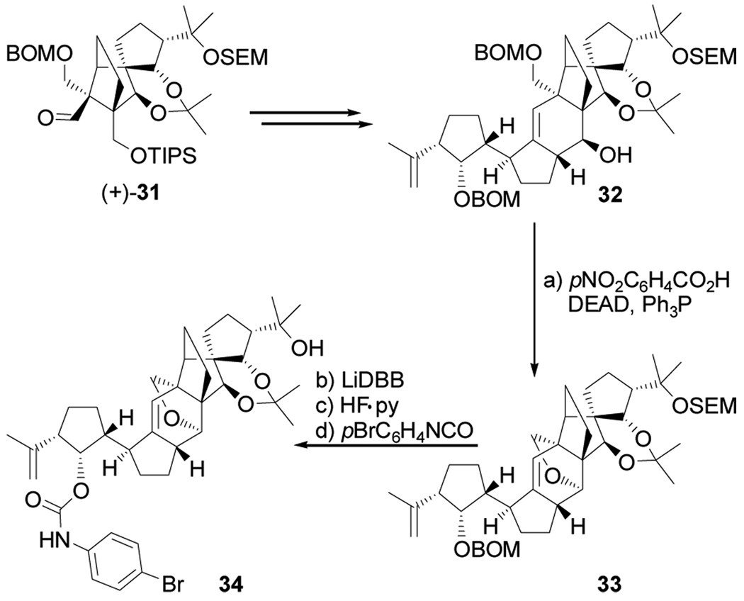 Scheme 4