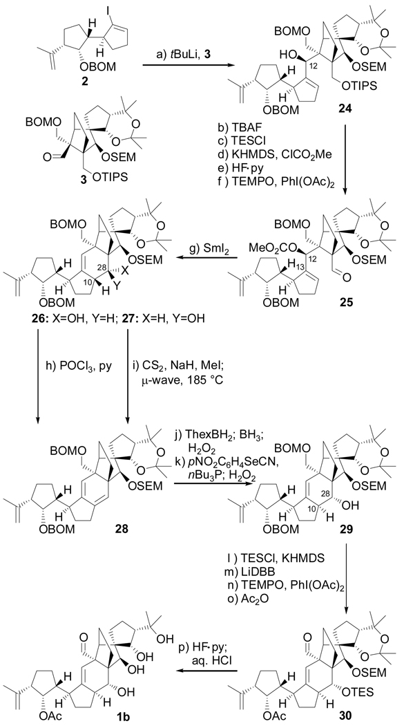 Scheme 3