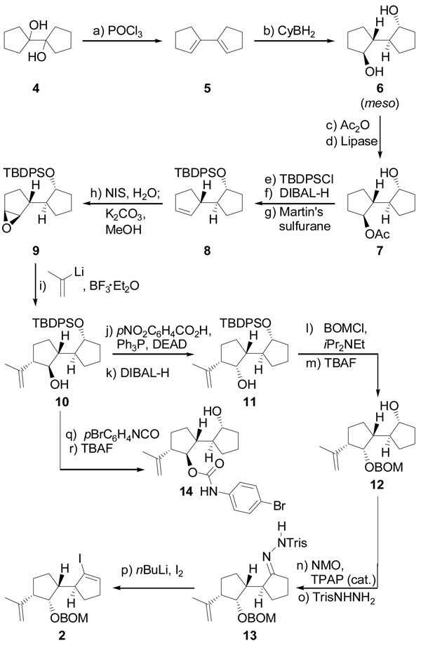 Scheme 1