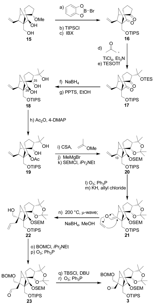 Scheme 2