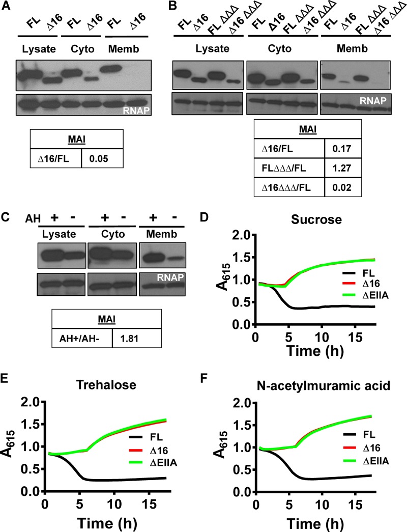 FIG 1 