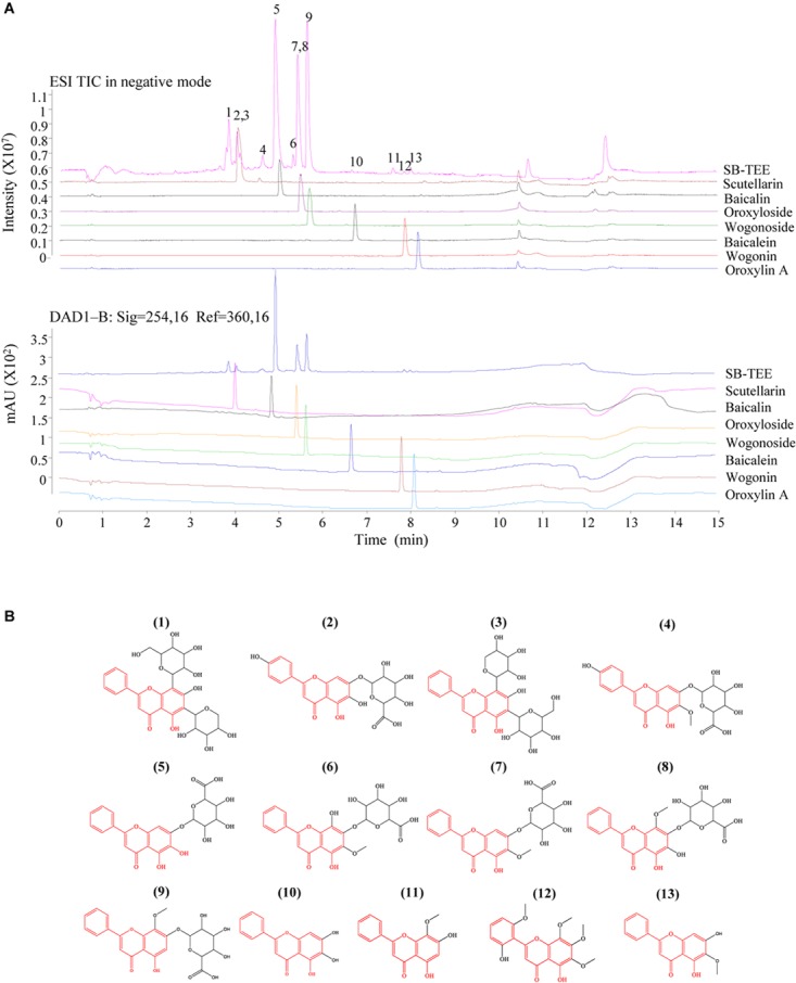 FIGURE 1