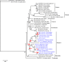 Fig. 4