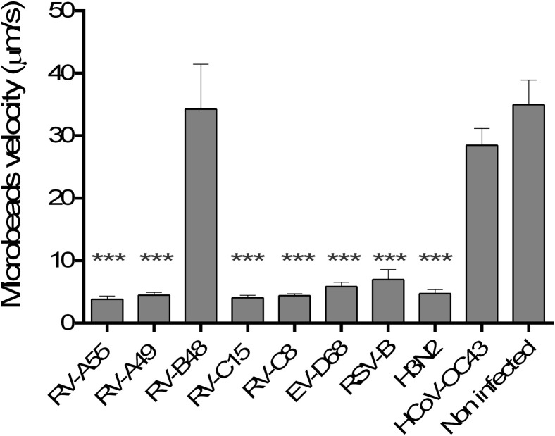 Fig 5