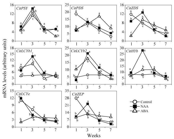 Figure 7