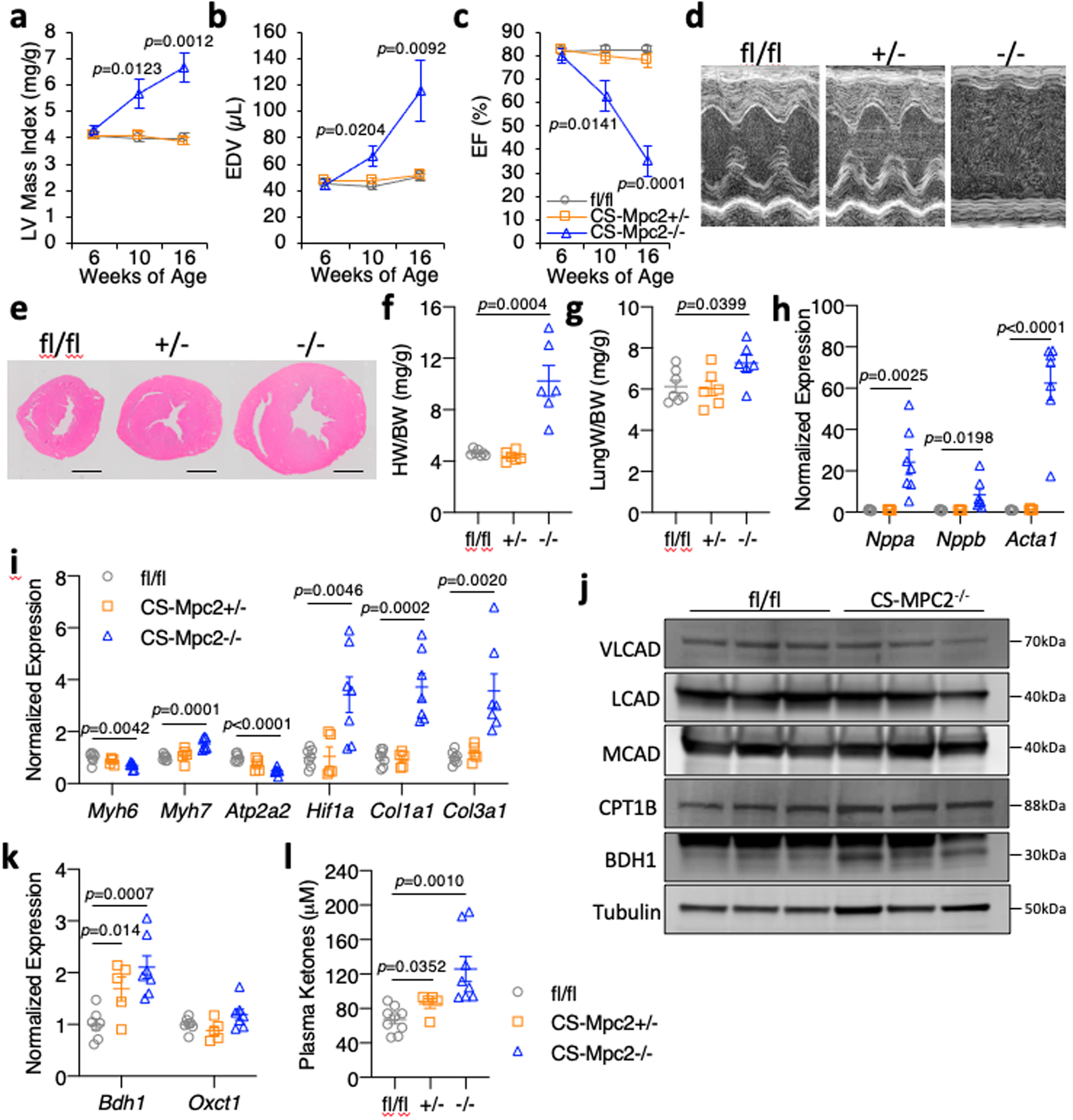 Fig. 2: