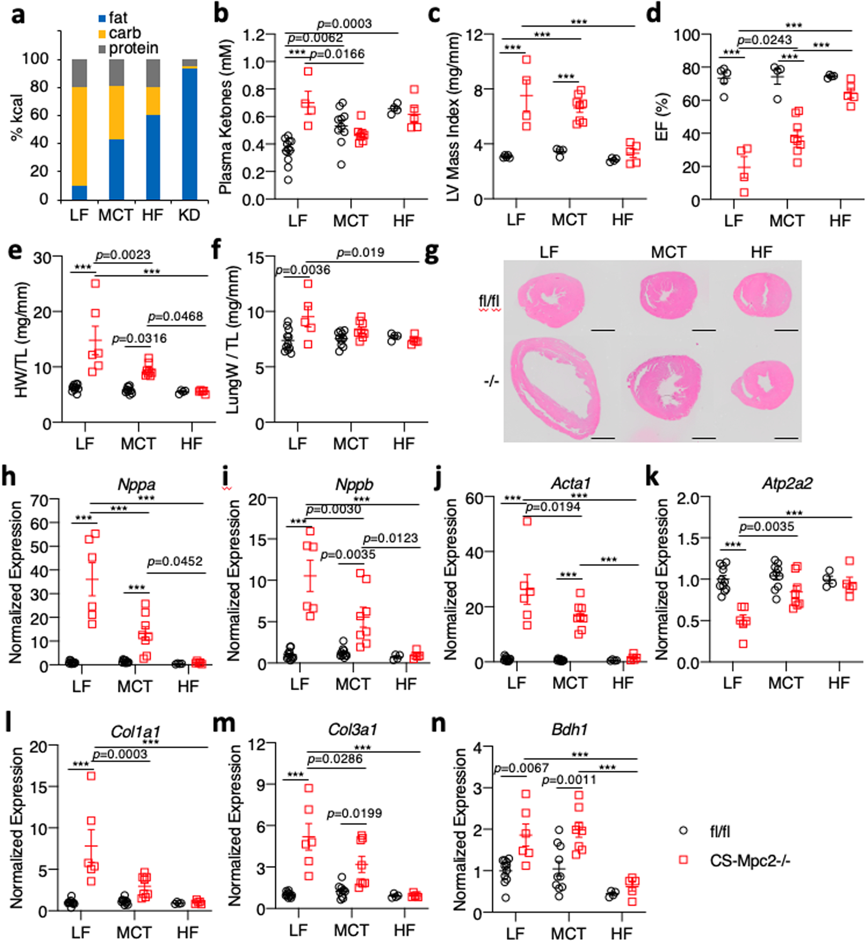 Fig. 6: