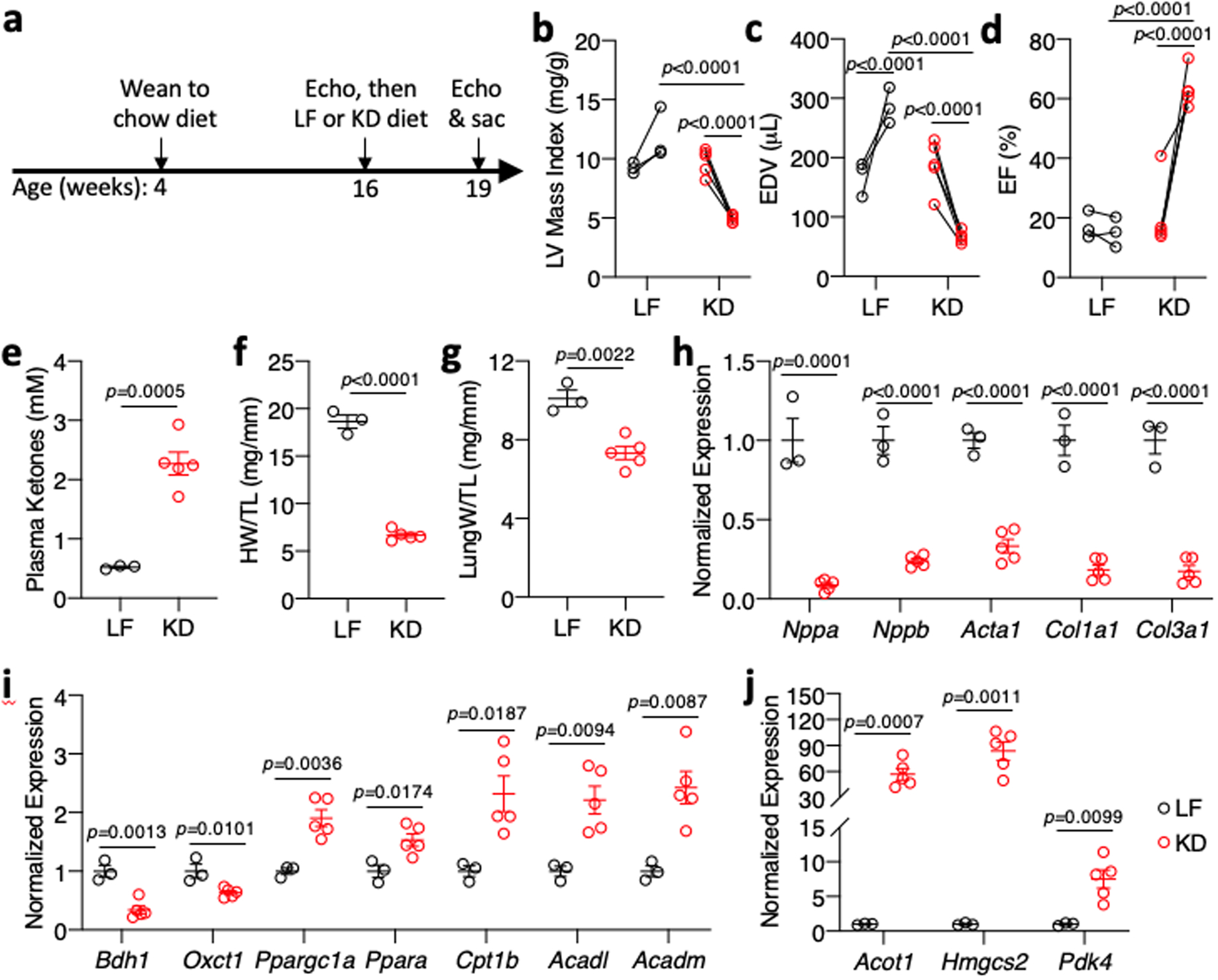 Fig. 8: