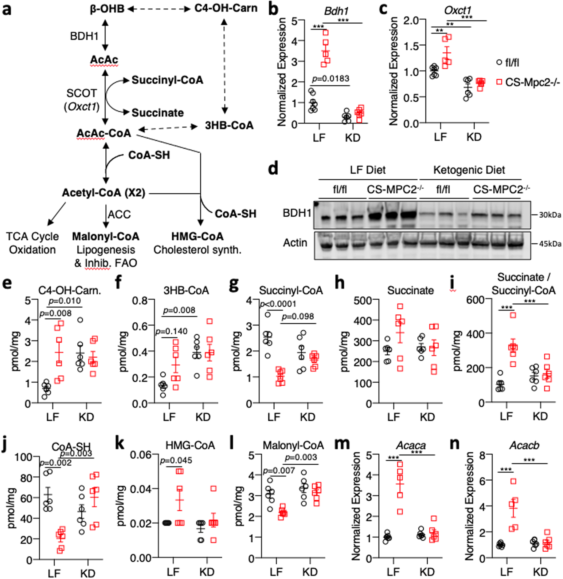 Fig. 4: