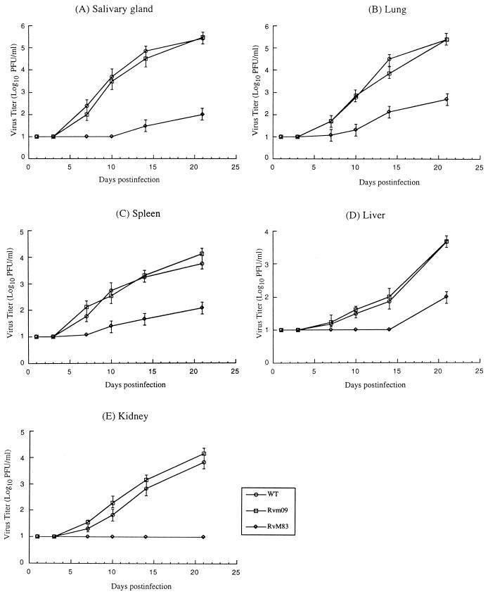 FIG. 7