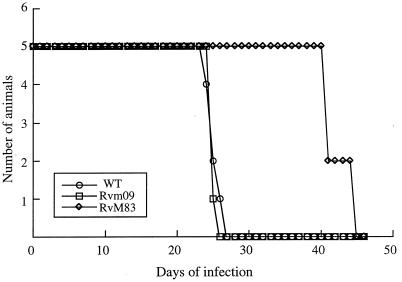 FIG. 6