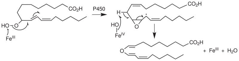 Fig. 20