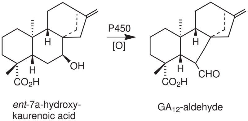 Fig. 15