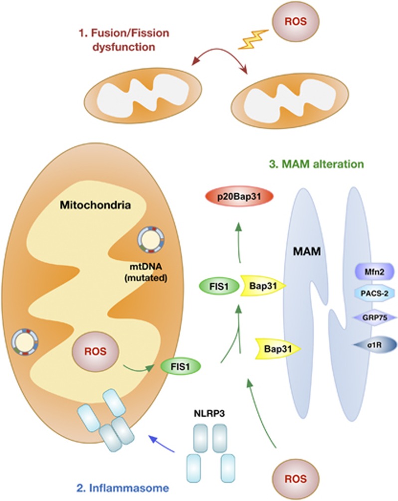 Figure 2