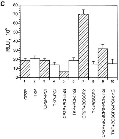 FIG. 5.