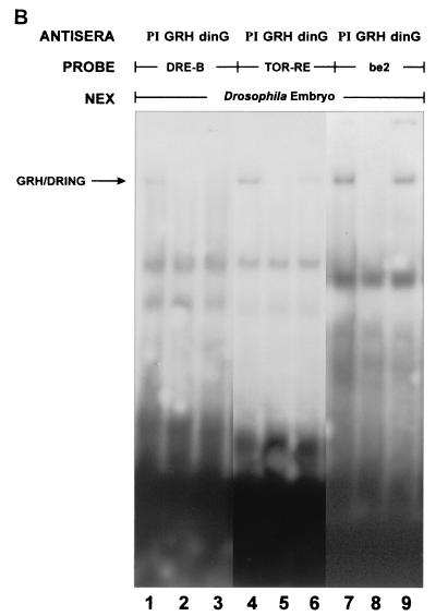 FIG. 7.