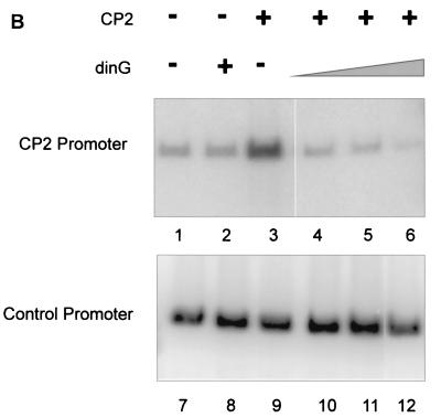 FIG. 5.