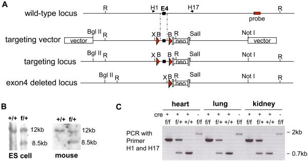 Figure1