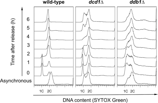 Fig 4