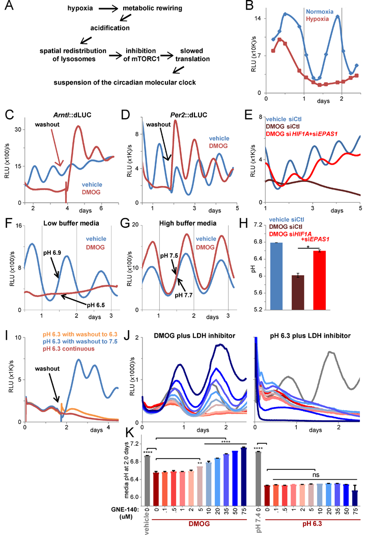 Figure 1 -