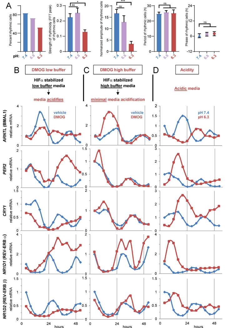 Figure 2 -