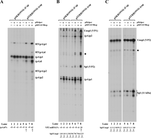 FIG. 6.