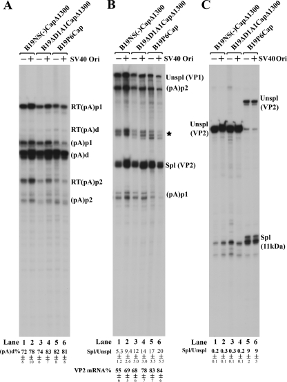 FIG. 9.