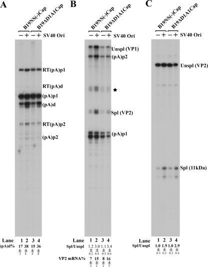 FIG. 8.