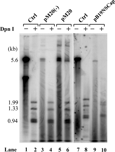 FIG. 4.