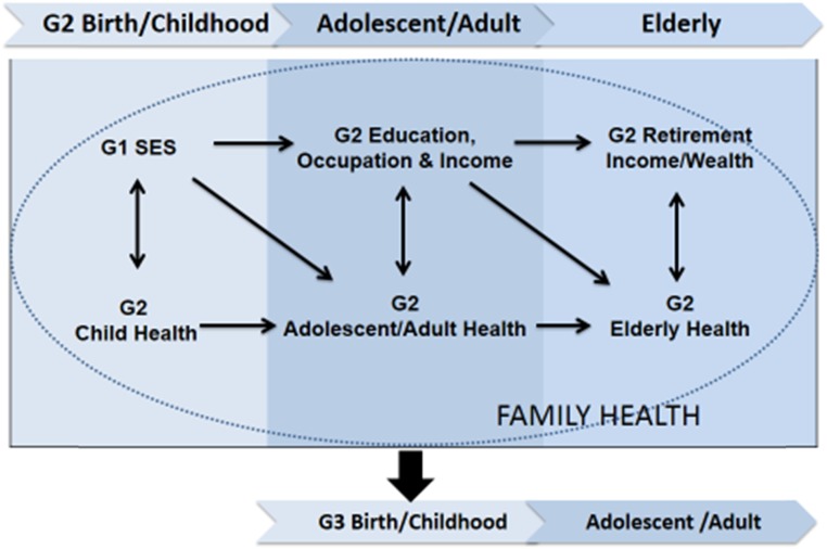 FIGURE 2