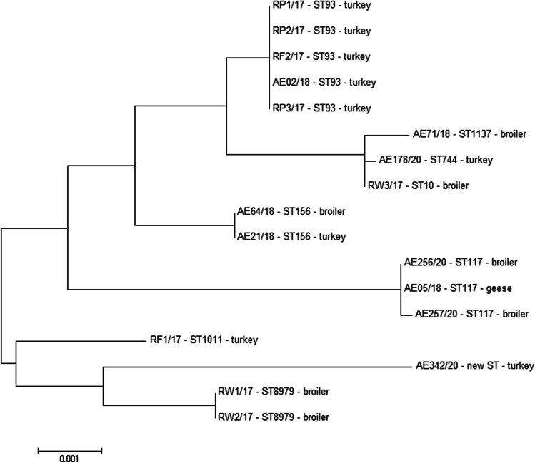 Fig. 2